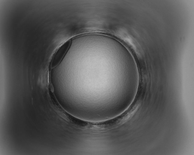 X0000096701365200802191440