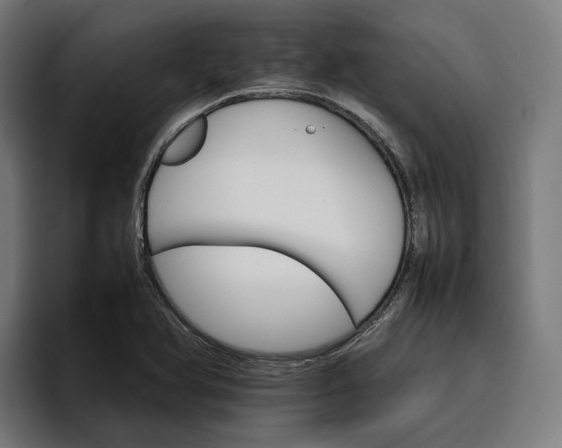 X0000096701366200802191440