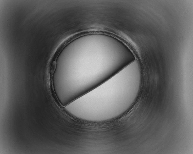 X0000096701368200802191440