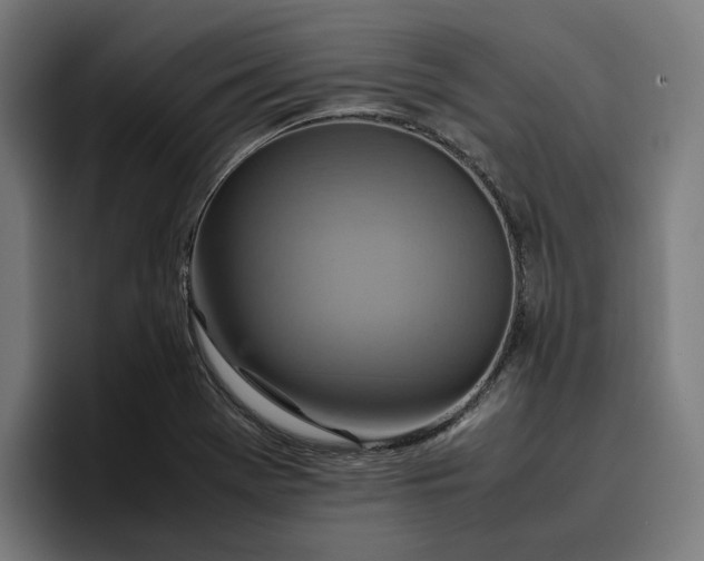 X0000096701369200802191440
