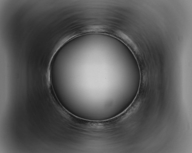 X0000096701370200802191440