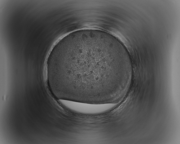 X0000096701371200802191440