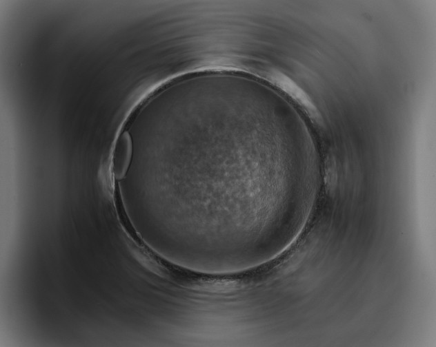 X0000096701372200802191440