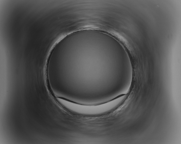 X0000096701373200802191440