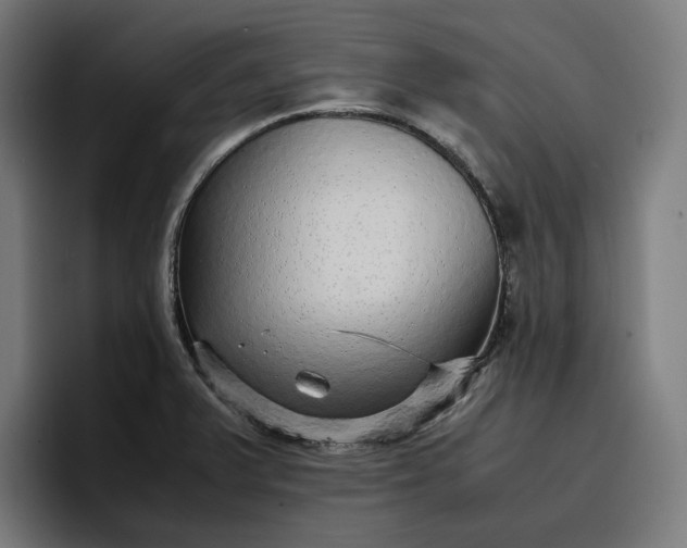 X0000096701375200802191439