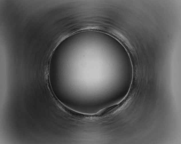 X0000096701377200802191439