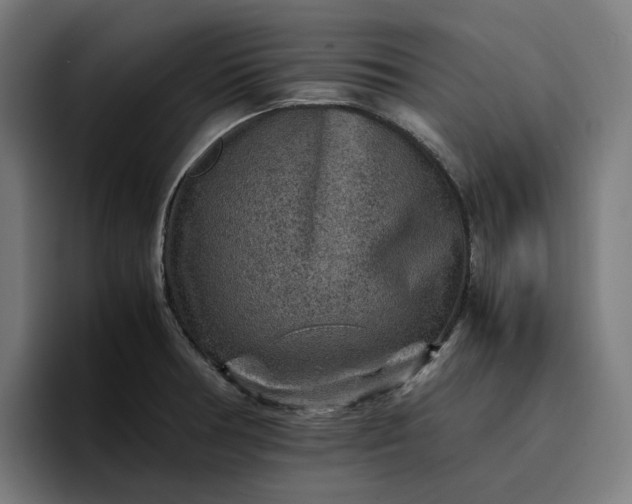 X0000096701378200802191439