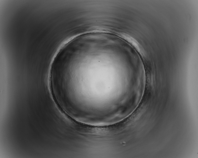 X0000096701379200802191439