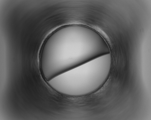 X0000096701380200802191439
