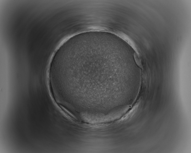 X0000096701381200802191439