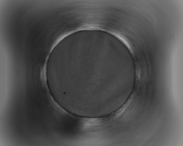 X0000096701382200802191439