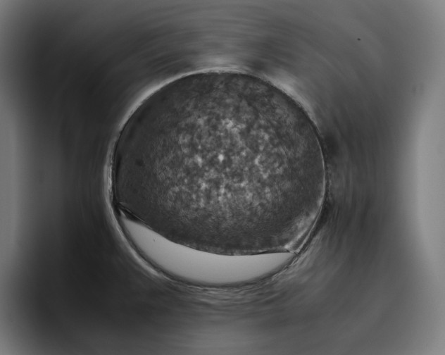 X0000096701383200802191439