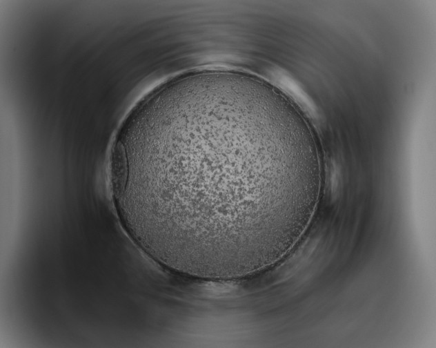 X0000096701384200802191439