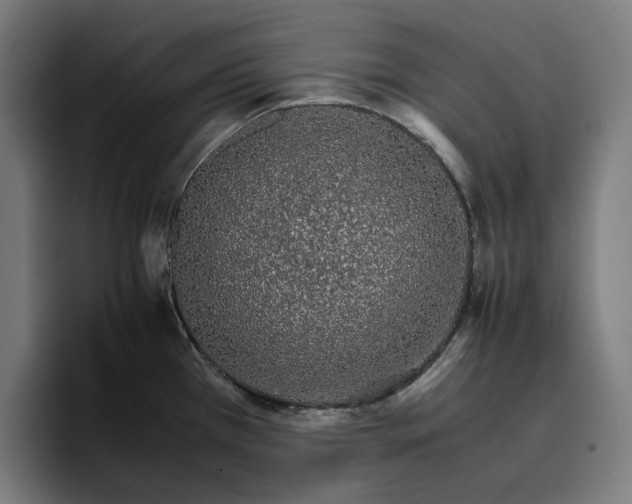 X0000096701385200802191439