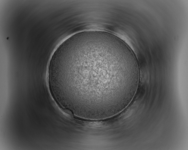 X0000096701387200802191439