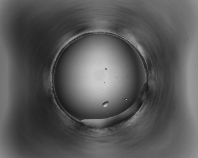 X0000096701388200802191439