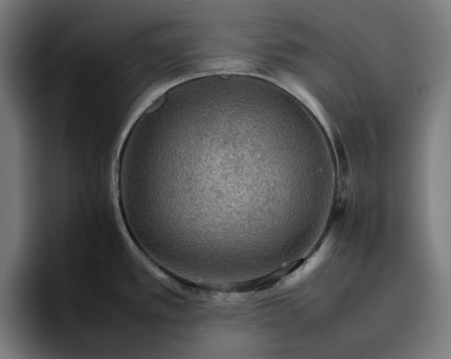 X0000096701389200802191439