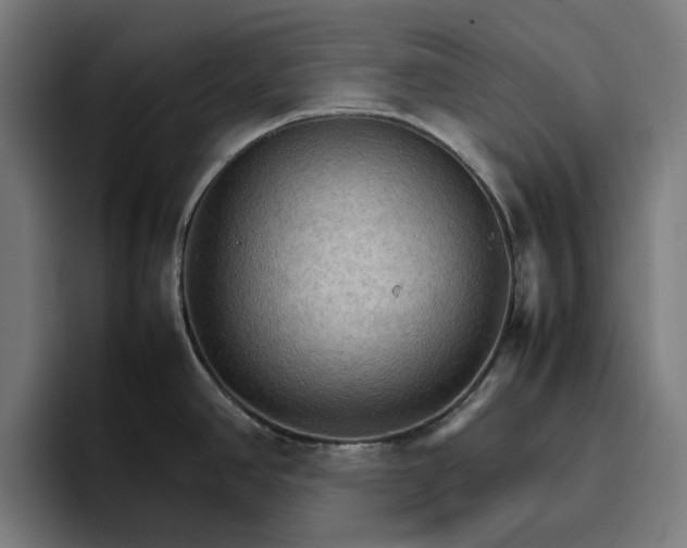 X0000096701390200802191439