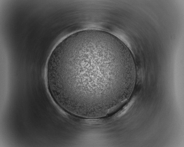X0000096701391200802191439