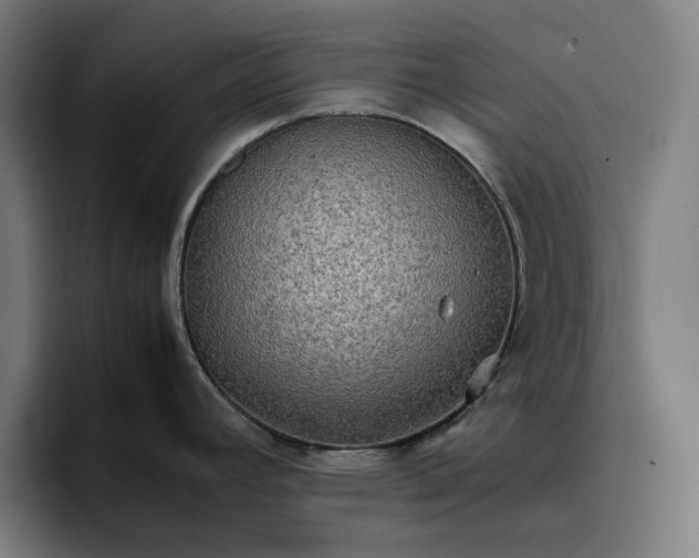 X0000096701392200802191439