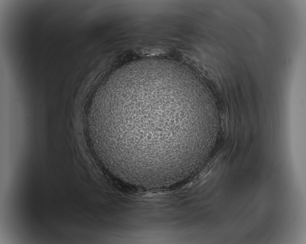 X0000096701393200802191439