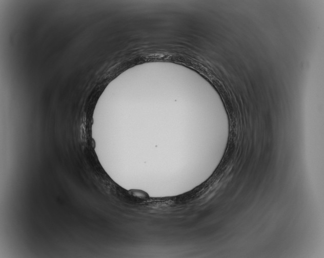 X0000096701394200802191439