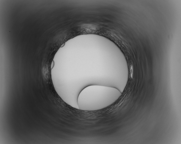 X0000096701395200802191439