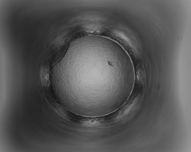 X0000096701396200802191439
