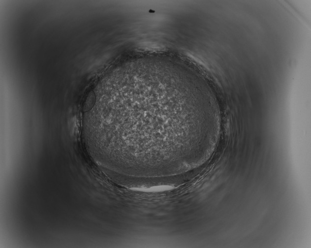 X0000096701397200802191439