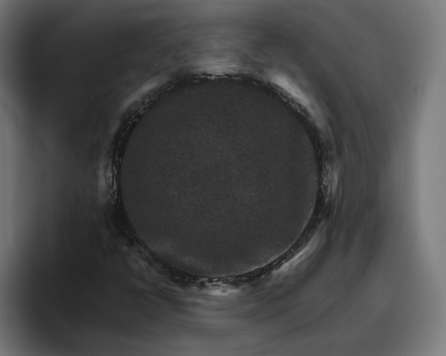 X0000096701398200802191439