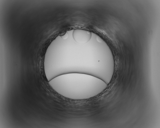 X0000096701399200802191439
