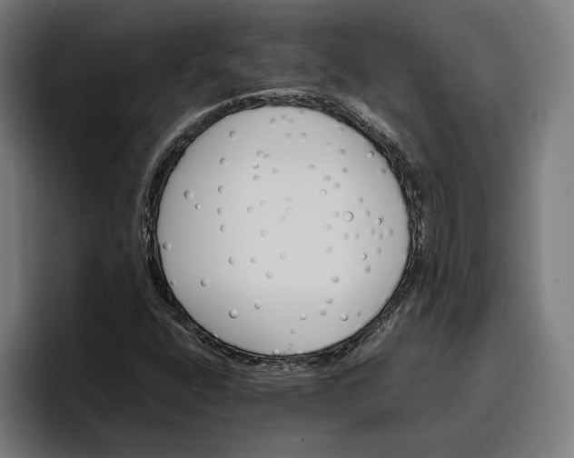 X0000096701400200802191439