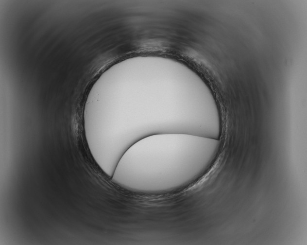 X0000096701401200802191439