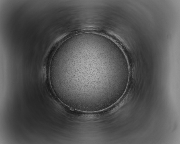 X0000096701402200802191439