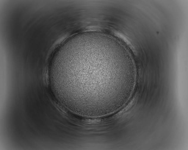 X0000096701403200802191439