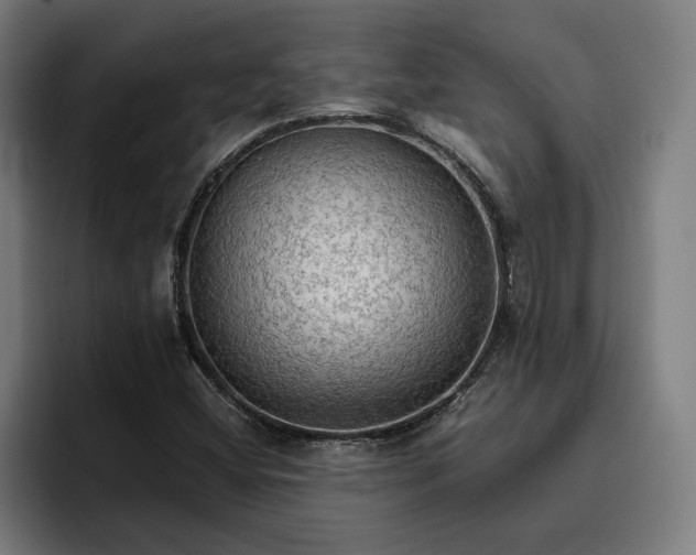 X0000096701404200802191439