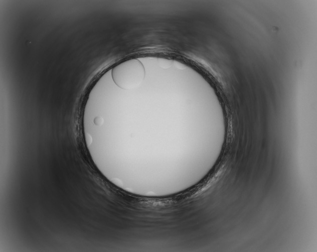 X0000096701405200802191439