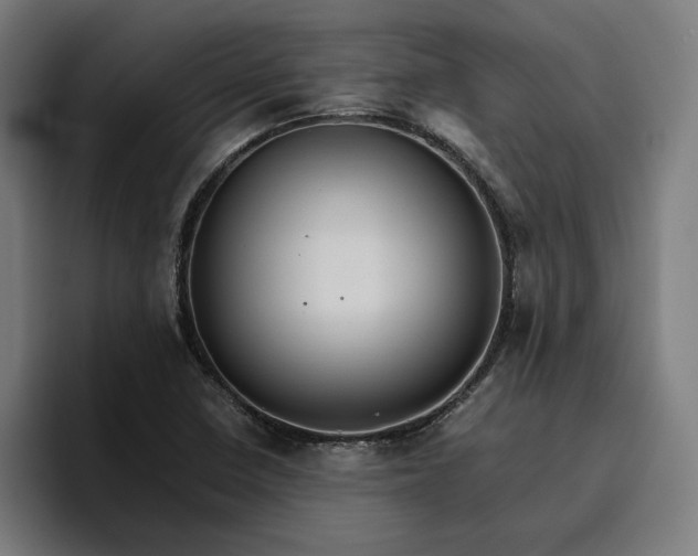 X0000096701410200802191439