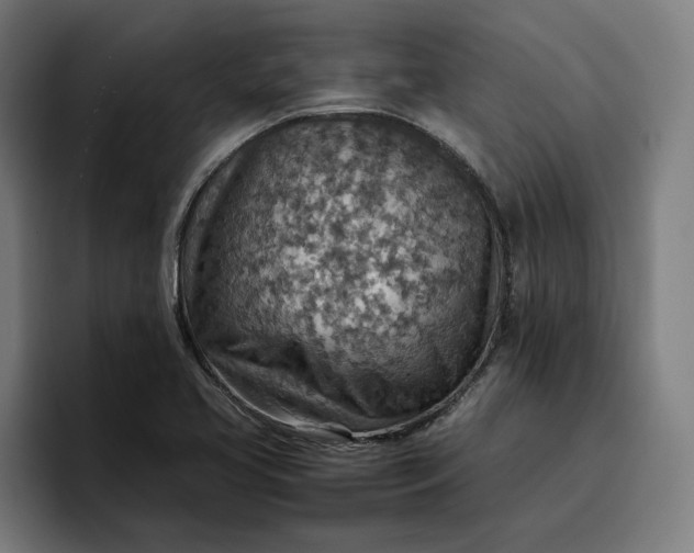X0000096701413200802191439
