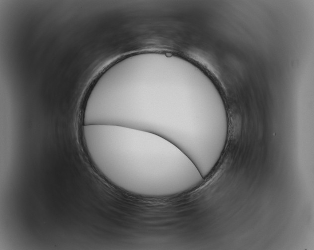X0000096701415200802191439