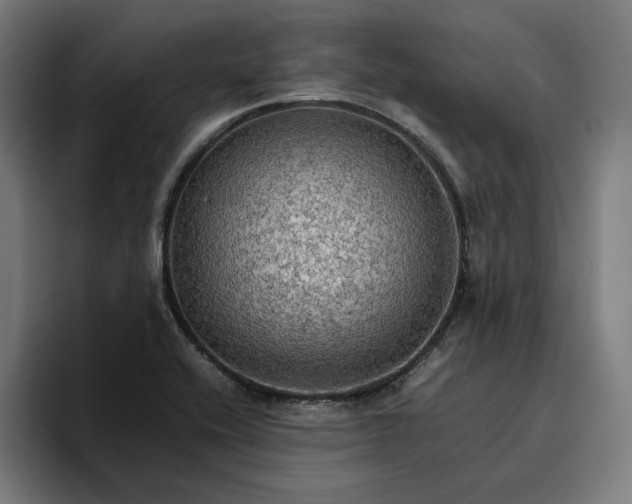 X0000096701416200802191439