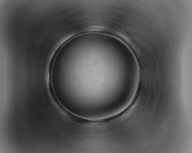 X0000096701418200802191439
