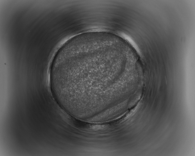 X0000096701419200802191439