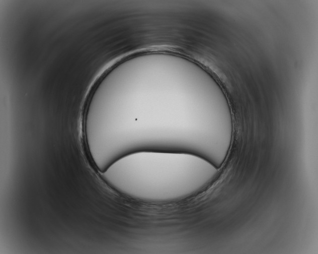X0000096701420200802191439