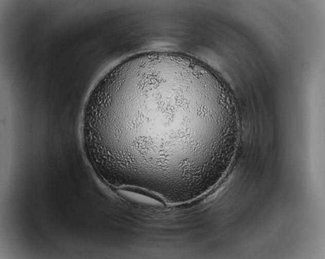 X0000096701421200802191439
