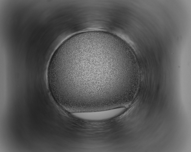 X0000096701423200802191439