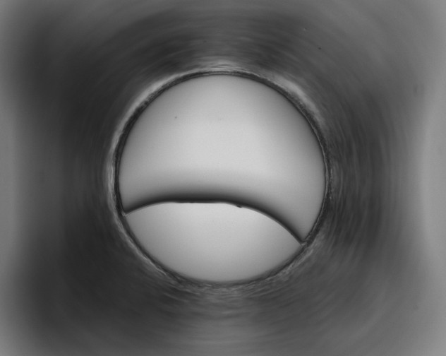 X0000096701424200802191439