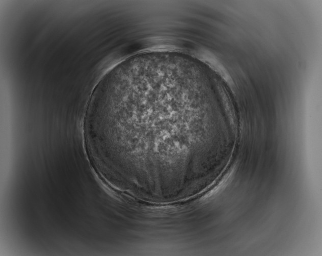 X0000096701425200802191439