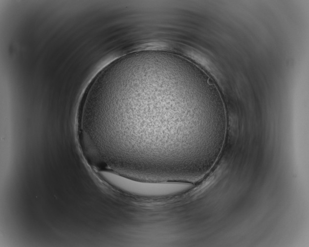 X0000096701426200802191439