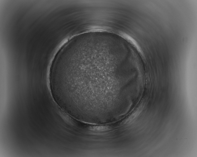 X0000096701427200802191439